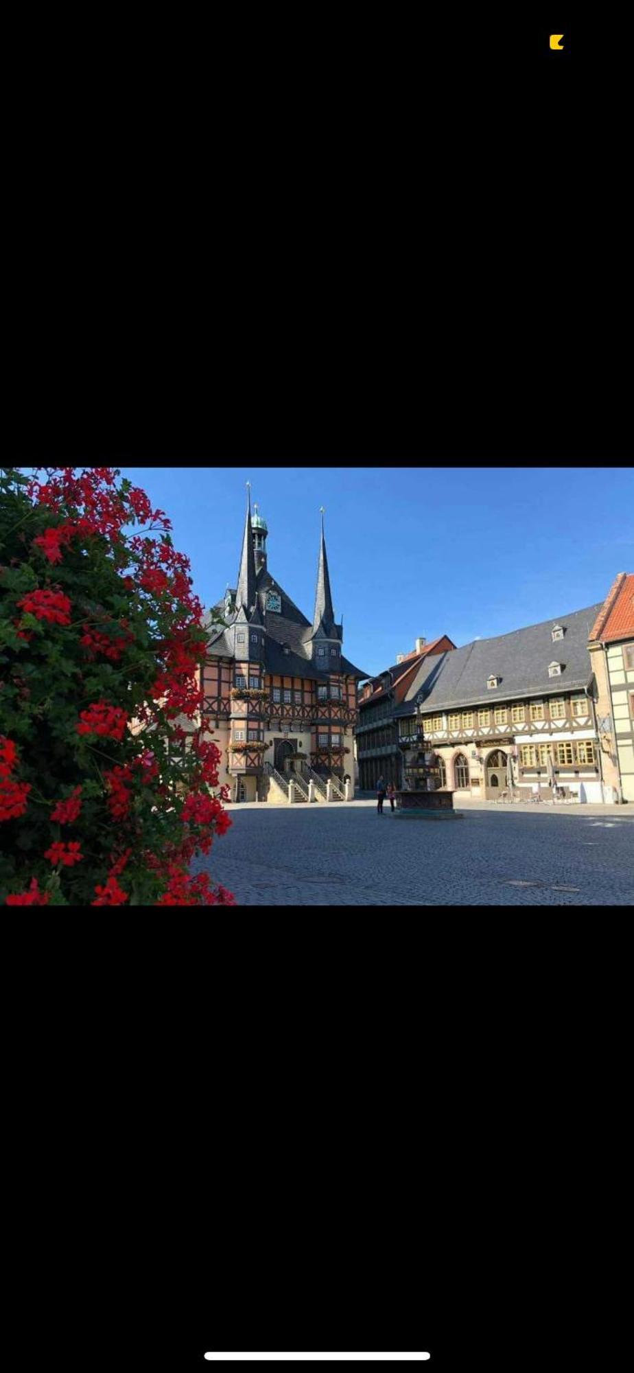 Ferienwohnung Im Harz Veckenstedt Zewnętrze zdjęcie